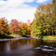 Illustration for article titled Fall Photos 1